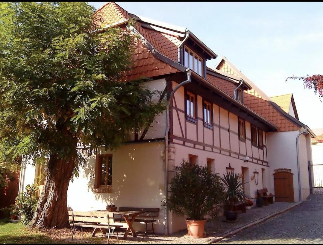 Pension Robinienhof Schadeleben Exterior foto